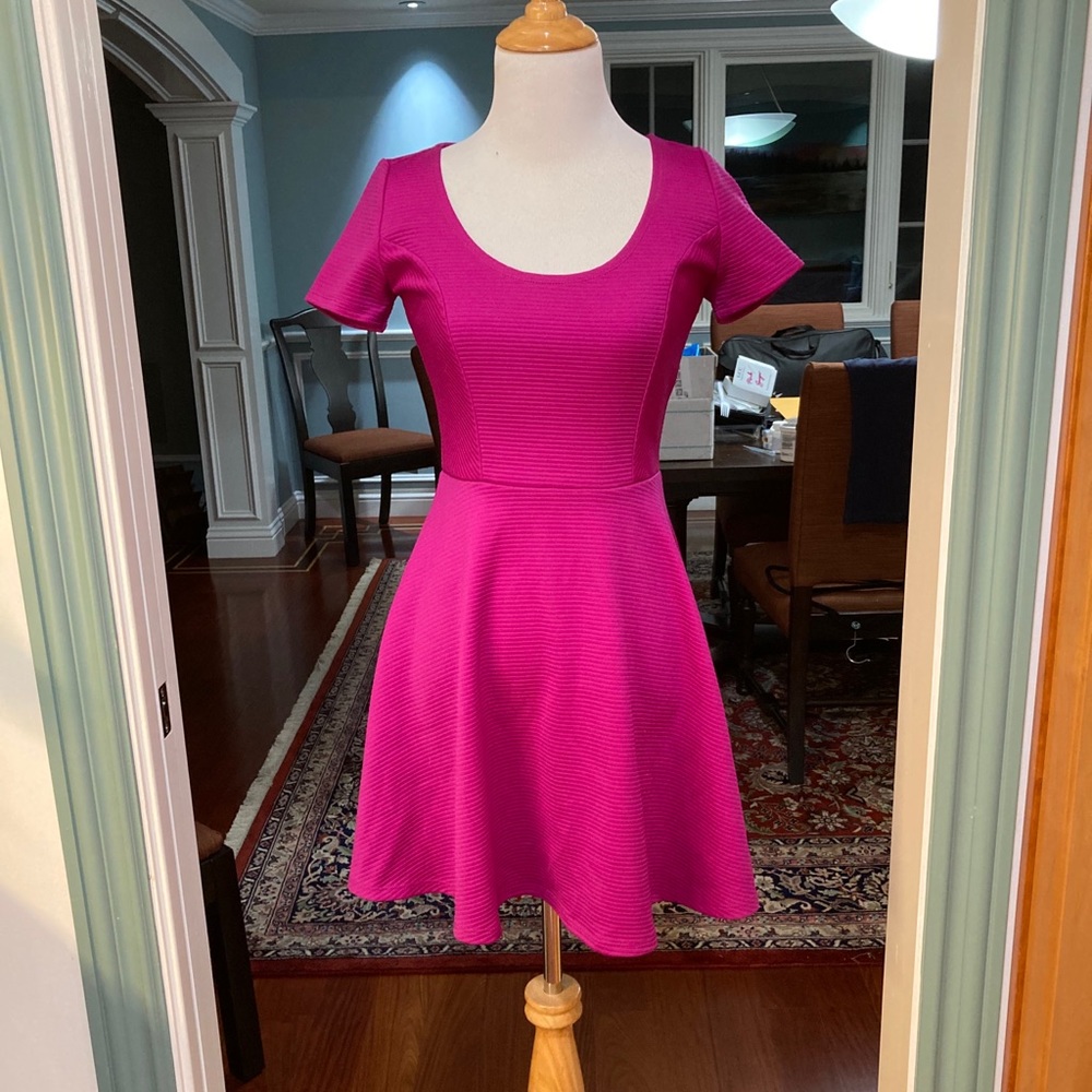 New Magenta Skater Dress